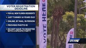 how to register to vote check your