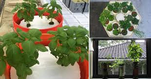 15 DIY Hydroponic Herb Garden Ideas Balcony Garden Web