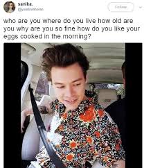 How do you like your eggs in the morning? Zara Larsson S Successful Pick Up Line Got Turned Into A Meme And It S Genius Popbuzz
