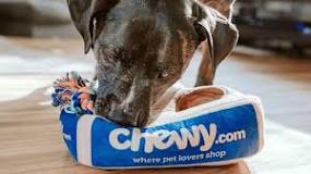 Image result for who owns chewy com
