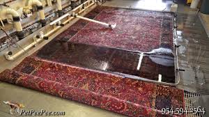 steam cleaning oriental rugs at