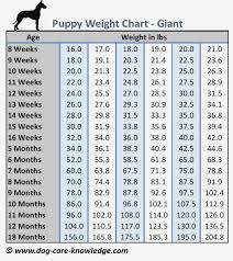Body Weight Height Online Charts Collection