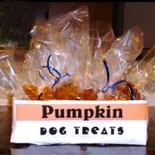 delightful pumpkin dog treats fido