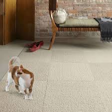 flor carpet squares for pet friendly