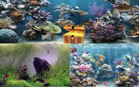 aquarium wallpaper 72 images