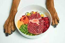raw dog food pros and cons new 2022 guide