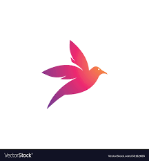 bird logo royalty free vector image