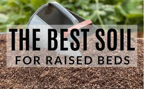 best soil for raised bed vegetable