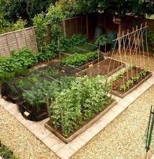 Diy Design Ideas For A Vegetable Garden