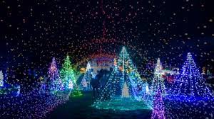 night lights 2018 at tower hill botanic