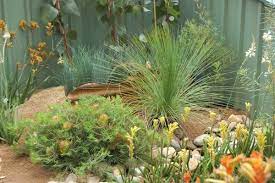 Australian Native Garden Design Ideas