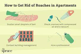 get rid of roaches in apartments