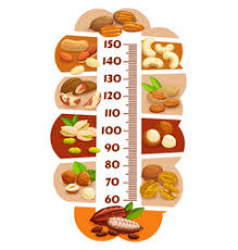 healthy food chart for kids vector