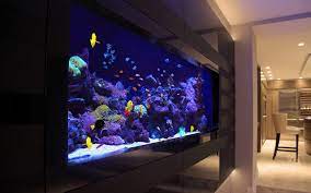 13 of the Best Home Aquarium Designs on Houzz gambar png
