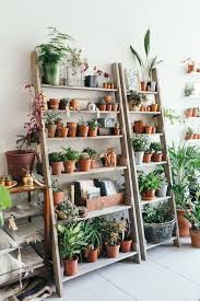 Indoor Plant Shelves