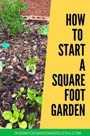how to start a square foot garden