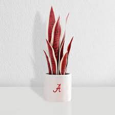 forever leaf 17 in alabama crimson