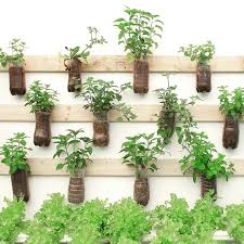 10 Hanging Vegetable Garden Ideas And
