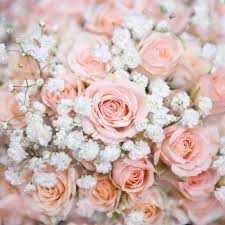 soft pink wedding bouquet with rose