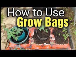 Grow Bags For Healthy Plants