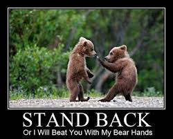 feisty bear cub | HootLOL via Relatably.com