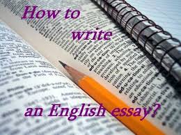 illegal immigration argumentative essay immigrants essay illegal     Outline essay best white paper examples compare and contrast essays th  grade pay you to write