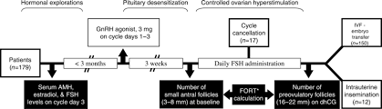 Flow Chart Of The Study Of Fort And Serum Amh Levels In