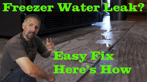 freezer water leak guide complete
