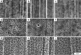 Surface Morphology Of The Foil After