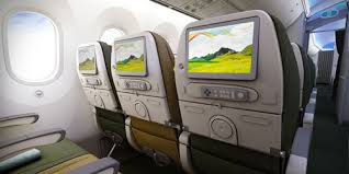 Ethiopian 787 Features