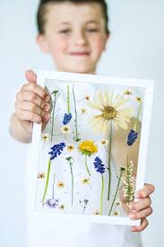 We wanted to fill two frames with flowers so we made sure to have a wide array of flowers to choose from. Mother S Day Craft Ideas Press Flowers In 3 Minutes