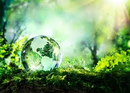Essay on forest and wildlife conservation Essay on world nature conservation day