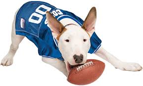 Amazon.com : NFL INDIANAPOLIS COLTS DOG Jersey, X-Large : Sports & Outdoors