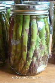 pickled and canned asparagus step by