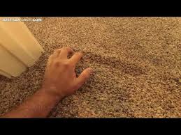 loose carpet after 2 years being