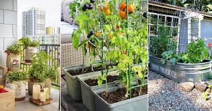 Grow More Vegetables In Small Space