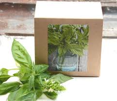 sweet basil seed kit indoor herb seed