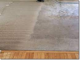 eco friendly carpet cleaning in ming