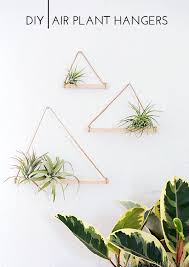 Diy Air Plant Hangers Homey Oh My