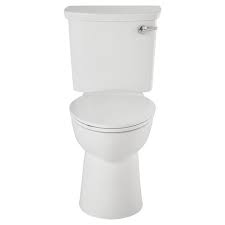 1 00 Gpf Single Flush Elongated Toilet