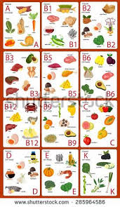Vitamin Foods Set A B1 B2 B3 B5 B6 Vitamin A Foods