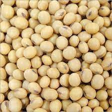 organic dried soybeans shelf life