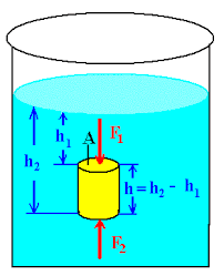 Physics Buoyancy And Archimedes Principle