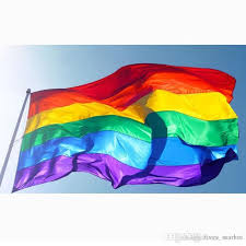 Image result for lgbt flags