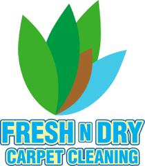 fresh n dry carpet cleaning