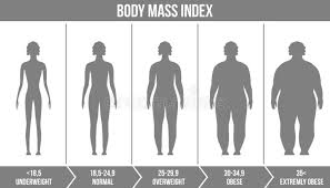 Creative Vector Illustration Of Bmi Body Mass Index