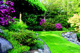 Designing With Evergreen Shrubs