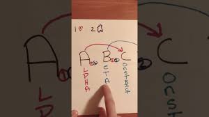 Alpha And Beta Receptor Action Made Simple