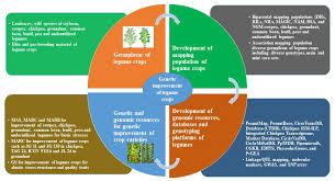 genetic augmentation of legume crops