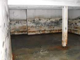 Do You Have A Moldy Basement Here S
